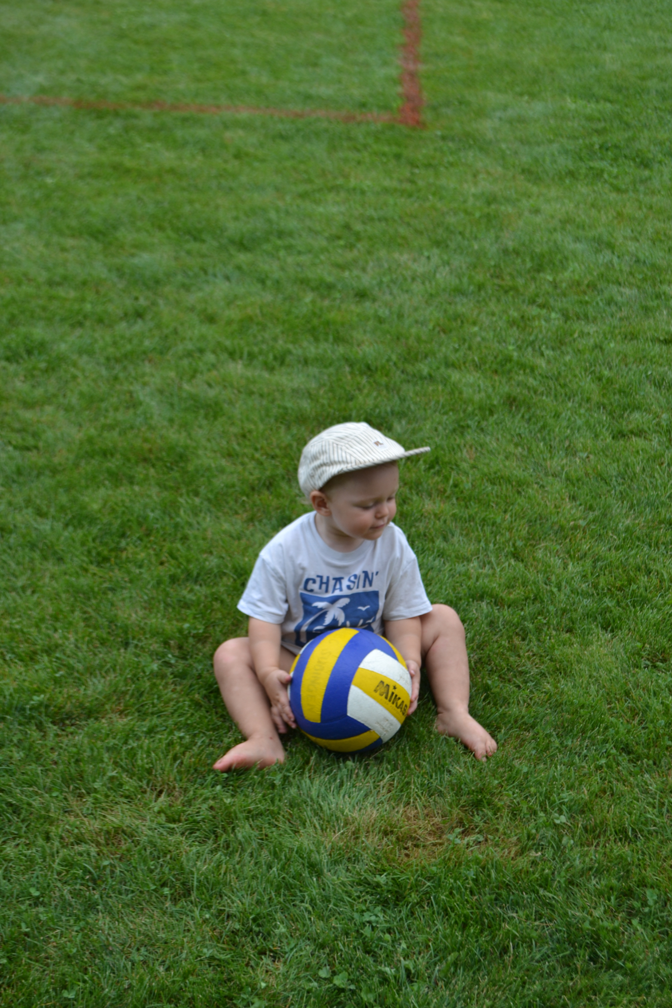 Bild (67)
